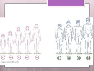 Crescimento e desenvolvimento infantil