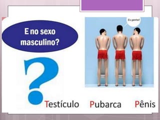 Crescimento e desenvolvimento infantil