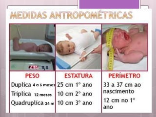 4 a 6 meses
12 meses
24 m
 