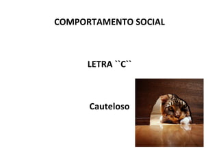 COMPORTAMENTO SOCIAL LETRA ``C`` Cauteloso 