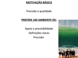 MOTIVAÇÃO BÁSICA Precisão e qualidade PREFERE UM AMBIENTE DE: Apoio e previsibilidade Definições claras Precisão  