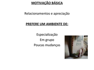 MOTIVAÇÃO BÁSICA Relacionamentos e apreciação PREFERE UM AMBIENTE DE: Especialização Em grupo Poucas mudanças 