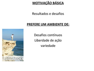 MOTIVAÇÃO BÁSICA Resultados e desafios PREFERE UM AMBIENTE DE: Desafios contínuos Liberdade de ação variedade 