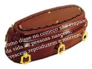 Como disse no começo são etapas da vida as pessoas nascem, crescem,reproduzem e morrem . 