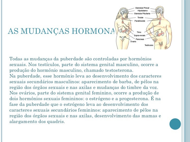 Crescimento e mudanças no 8°a