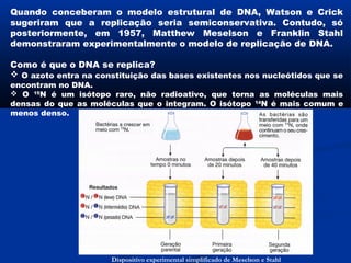 Quando conceberam o modelo estrutural de DNA, Watson e Crick
sugeriram que a replicação seria semiconservativa. Contudo, só
posteriormente, em 1957, Matthew Meselson e Franklin Stahl
demonstraram experimentalmente o modelo de replicação de DNA.

Como é que o DNA se replica?
 O azoto entra na constituição das bases existentes nos nucleótidos que se
encontram no DNA.
 O 15N é um isótopo raro, não radioativo, que torna as moléculas mais
densas do que as moléculas que o integram. O isótopo 14N é mais comum e
menos denso.




                      Dispositivo experimental simplificado de Meselson e Stahl
 