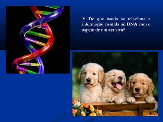  De que modo se relaciona a
informação contida no DNA com o
aspeto de um ser vivo?
 