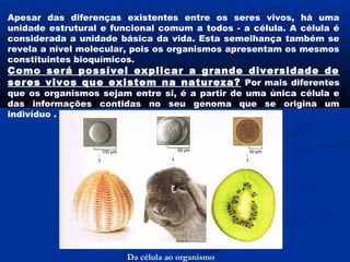 Apesar das diferenças existentes entre os seres vivos, há uma
unidade estrutural e funcional comum a todos - a célula. A célula é
considerada a unidade básica da vida. Esta semelhança também se
revela a nível molecular, pois os organismos apresentam os mesmos
constituintes bioquímicos.
Como será possível explicar a grande diversidade de
seres vivos que existem na natureza? Por mais diferentes
que os organismos sejam entre si, é a partir de uma única célula e
das informações contidas no seu genoma que se origina um
indivíduo .




                        Da célula ao organismo
 