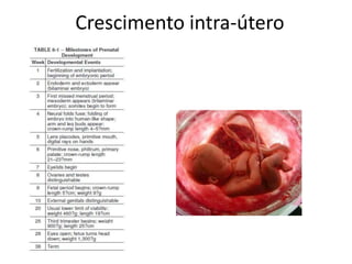 Crescimento intra-útero

 