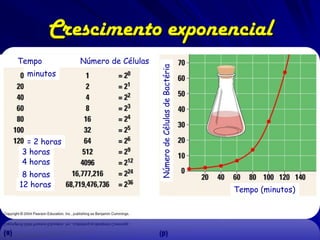 Uma formula do
crescimento exponencial
Nt=No * ert
Nt = número de indivíduos ao fim do período

temporal
No = número de indivíduos no começo do período
temporal
e = Constante de Euler (logaritmo natural de rt)
r = taxa intrínseca do crescimento populacional
t = período temporal

 
