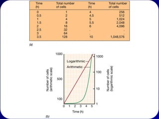 Crescimento Exponencial
Para equações que aumentam
exponencialmente, use a formula:
– Nt = Noert

Onde No = a população inicial, t = tempo, r é a
taxa intrínseca de aumento, e Nt = a população
no tempo t

A taxa intrínseca de aumento pode ser
resolvido por:

ln N t  ln N o
r
t

 