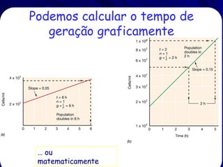 Entendimento de
Exponenciais
Tenta pensar e resolver uma pergunta
simples:
– Você foi oferecido dois empregos iguais por
uma hora por dia por quatorze dias.
– O primeiro emprego paga R$ 10,00 por hora.
– O segundo emprego começa pagando somente
R$ 0,01 por dia, mas a taxa dobra cada dia.
– Qual emprego você aceitaria?

 