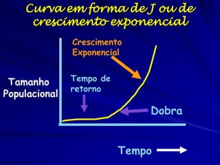 Podemos calcular o tempo de
geração graficamente

… ou
matematicamente

 