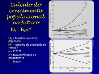 Tamanho da População

Crescimento Exponencial
A quantidade de
crescimento depende do
número de indivíduos na
população.

Tempo

 
