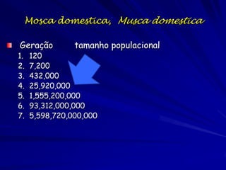 Potencial Biótico
– Taxa de crescimento de uma
populações sem qualquer
resistência ambiental.

Capacidade inata de crescimento
de qualquer população é
exponencial.
– Ainda mantido a mesma taxa, o
número na população acelera
com o aumento do tamanho
população.

 