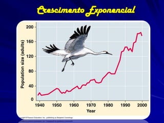 Potencial Biótico
Uma mosca fêmea coloca
uma média de 120 ovos a
cada geração. A metade
desses ovos são fêmeas.
Quantas moscas teriam de
uma mosca fêmea em 7
gerações (~ 1 ano)?
Por que não existem tantas
moscas?

Geração

População total se
toda fêmea em
cada geração
coloca 120 ovos e
depois morre

1

120

2

7.2 x 103

3

4.3 x 105

4

2.5 x 107

5

1.5 x 109

6

9.3 x 1010

7

5.5 x 1012

 