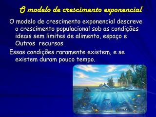 Crescimento Populacional
e incêndios
Hypericum cumulicola:
Ln () versus tempo desde fogo

Quintana-Ascencio et al. (2003)

 