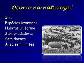 Mosca domestica, Musca domestica

Geração

1.
2.
3.
4.
5.
6.
7.

tamanho populacional

120
7,200
432,000
25,920,000
1,555,200,000
93,312,000,000
5,598,720,000,000

 