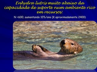 Mosca domestica, Musca domestica

O crescimento fenomenal é a expressão
do potencial biótico da mosca domestica
As moscas fazem isso?

 