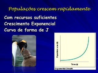 Crescimento Exponencial

 