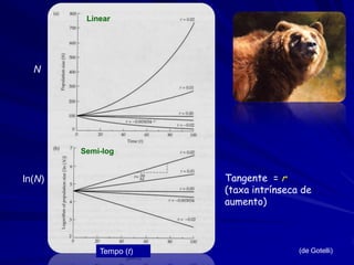Taxa Intrínseca de
Crescimento
Cálculo pelo Método A
Simplificando, usamos anos como unidade temporal.
Mas, o mesmo pode ser dias, semanas, ou minutos.
O número de indivíduos de idade x no ano t é igual ao
número de indivíduos recém nascidos (x=0) x anos
antes multiplicado pela sua sobrevivência (lx) até a
idade x:

 