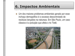 6. Impactos Ambientais
 Um dos maiores problemas ambientais gerado por esse
inchaço demográfico é o excesso descontrolado de
resíduos lançados na natureza. Em São Paulo, um caso
clássico é a poluição que afeta o rio Tietê.
 
