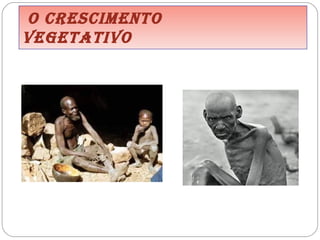 o Crescimento  Vegetativo 