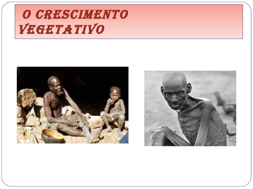 Crescimento vegetativo 8°b Crescimento vegetativo 8°b