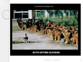 03/06/2012   Marta Cunha   33
 