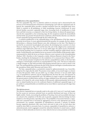 Crustacean parasites 135
Modifications of the copepodid phase
The first copepodid (Fig. 4.5C) is relatively uniform in structure and is characterised by the
presence of two functional pairs of biramous swimming legs, each with one-segmented rami. In
general, the copepodid phase provides a gradual transition from the copepodid body form,
which is common to all podopleans, to adult morphology, however transformed. In more
derived families successive copepodid stages show increasing levels of modification in body
form and limb structure, as compared to their free-living relatives. In almost all copepod para-
sites the first copepodid is a free-swimming stage, the few exceptions include the monstrilloids
and the brittle star parasite Parachordeumium amphiurae, which hatches directly as an infective
second copepodid, having passed through the first within the egg.
A common modification to the copepodid phase is the specialisation of the later stages as
particular larval forms. In most siphonostomatoid fish parasites, for example, the first copepo-
did produces a chitinous frontal filament soon after settlement on the host. This filament is
secreted by an anteriorly located gland and anchors the developing larva securely to its host.
These are chalimus larvae (Fig. 4.5D) and the basic life cycle of the caligid sea lice contains four
chalimus stages followed by either one or two pre-adult stages. Pre-adults secrete a frontal fila-
ment during moulting, but it is temporary and after moulting caligid pre-adults detach and are
motile. Frontal filaments and chalimus larvae are present in most families of fish parasitic sipho-
nostomatoids for which the larvae are known. However, none is present in the Lernanthropidae
(Raibaut 1985). Elsewhere in the Copepoda a similar chitinous filament is found in the Nicot-
hoidae, attaching the developing larva to the exoskeleton of its crustacean host (Hansen 1897).
In the tunicate parasite Gonophysema the infective copepodid larva settles on the host then
undergoes a metamorphic moult into an onychopodid larva (Fig. 4.5E). This larva is reduced to
a simple elongate sac-like body provided with grasping antennae that are used to attach to the
host. The onychopodid then penetrates the skin of the tunicate and begins a transformation into
the amorphous, lobate adult (Bresciani and Lützen 1961).
The basic copepodid phase, as primitively retained in siphonostomatoids (e.g. Cancerilla),
comprises five stages plus the adult. The presence of pre-adults, as true moult stages, is a feature
of many fish parasites. Either one pre-adult (e.g. in Caligus clemensi) or two pre-adult stages
(e.g. in Lepeophtheirus salmonis) may be interpolated into the basic life cycle, and represent an
addition to the ancestral copepod life cycle. The addition of a stage or stages is remarkable, given
the general pattern of abbreviation and loss of stages exhibited across the parasitic copepods. It
appears to be shared by only certain families of fish parasitic siphonostomatoids, but its pres-
ence in related families has yet to be confirmed. Reports of additional copepodid stages or of
pre-adults in cyclopoid families are doubtful and are more likely to represent growth stages than
moult stages.
The infection process
The infective copepodid larva is typically small, in the order of 0.3 mm to 0.7 mm body length,
but the oceans are enormous, potential hosts are patchily distributed and many of them are
highly mobile. Clearly, overcoming the problems of locating a host and successfully infecting it
are critical to the completion of the life cycle in parasitic copepods. Infection biology has been
studied in a few fish parasites, especially sea lice. The probability of encounter between a copep-
odid and a potential host is increased by aggregation of larvae at the appropriate part of the
environment. For example, copepodids of Lepeophtheirus pectoralis, a parasite of flatfish,
become negatively phototactic after some hours and tend to sink to the sea bed where they
would be more likely to encounter hosts. In contrast, copepodids of Lepeophtheirus salmonis, a
salmonid parasite, tend to aggregate around the subsurface halocline in coastal waters, a depth
horizon at which salmonids are known to cruise. Infective larvae in close proximity to fish hosts
 