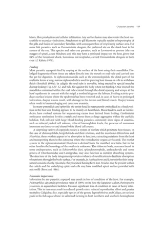 Crustacean parasites 137
blasts, fibre production and cellular infiltration. Any surface lesion may also render the host sus-
ceptible to secondary infections. Attachment to gill filaments typically results in hypertrophy of
the gills and fusion of secondary lamellae, with consequent loss of respiratory surface area. For
some fish parasites, such as Ommatokoita elongata, the preferred site on the shark host is the
cornea of the eye. This species and other eye parasites, such as Lernaeenicus sprattae (the eye
maggot of sprat), cause blindness and this may have a profound impact on the host, given that
84% of the Greenland shark, Somniosus microcephalus, carried Ommatokoita elongata in both
eyes (cf. Kabata 1979).
Feeding
Most parasitic copepods feed by rasping at the surface of the host using their mandibles. Dis-
lodged fragments of host tissue are taken directly into the mouth or oral tube and carried into
the gut for digestion. In siphonostomatoids such as the entomolepidids, the distal part of the
oral tube forms a long, narrow siphon which is used for piercing host tissues or cells to withdraw
fluids (Boxshall 1990a). In caligids the oral tube is movable, being erected by special muscles
during feeding (Fig. 4.5F–G) and held flat against the body when not feeding. Once erected the
mandibles contained within the oral tube extend through the distal opening and scrape at the
host’s epidermis in concert with the strigil, a toothed ridge on the labium. Feeding activity pro-
duces surface lesions where the epidermis has been removed and, in cases of heavy or prolonged
infestation, deeper lesions result, with damage to the dermis and blood vessels. Deeper lesions
often result in haemorrhaging and can cause anaemia.
In many pennellids and sphyriids the entire head is permanently embedded in a fixed posi-
tion in the host and feeding appears to be mainly on host fluids. Blood feeders, such as Cardio-
dectes, have evolved systems for sequestering excess iron derived from feeding. Cardiodectes
medusaeus synthesises ferritin crystals and stores them as large aggregates within the cephalic
holdfast. Fish infected with large blood-feeding parasites commonly show signs of anaemia,
such as reduced packed cell volume, reduced haemoglobin levels, the presence of numerous
immature erythrocytes and altered white blood cell counts.
A surprising variety of copepods possess a system of rootlets which penetrate host tissues. In
the case of chitonophilids, herpyllobiids and their relatives, and the nicothoids Rhizorhina and
Nicorhiza, these rootlets appear to be absorptive in function, extracting nutrients from the host
and transporting them to the ectosoma where the reproductive organs are located. The rootlet
system in the siphonostomatoid Nicorhiza is derived from the modified oral tube, but in the
other families the homology of the rootlets is unknown. The elaborate body processes found in
some endoparasites, such as Echiurophilus fizei, splanchnotrophids, antheacherids and some
genera of Chordeumiidae and Lamippidae, may also function as nutrient absorbing systems.
The structure of the body integument provides evidence of modification to facilitate absorption
of nutrients through the body surface. For example, in Antheacheres and Linaresia the thin integ-
ument consists of only epicuticle, the procuticle having been lost.Vesicles may be present within
the cuticle and the underlying epidermal cells may have modified apical surface provided with
microvilli (Bresciani 1986).
Economic importance
Infestation by any parasitic copepod may result in loss of condition of the host. For example,
Pectenophilus can attain prevalence rates of 100% on its host the Japanese scallop, Patinopecten
yessoensis, in aquaculture facilities. It causes significant loss of condition in cases of heavy infes-
tation. This in turn may result in reduced growth rates, reduced reproductive effort and greater
mortality. Caligid sea lice, especially species of the genera Lepeophtheirus and Caligus, are serious
pests in fin-fish aquaculture: in salmonid farming in both northern and southern hemispheres
 