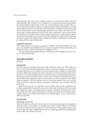 Marine Parasitology
138
and in brackish water tilapia culture facilities in southern Asia (Boxshall and Defaye 1993, Pike
and Wadsworth 1999) (see pp. 378–391). Caligid sea lice can cause severe economic losses due to
the reduced growth of infected fish, to the costs of chemotherapy and to mortality. The eco-
nomic effects of parasitisation of fishes by copepods include reduced marketability. Farmed fish
with unsightly lesions have reduced value. Integrated parasite management, which may include
routine inspections for sea lice, chemotherapy, separation of year classes, fallowing and use of
cleaner fish, is widely employed but sea lice levels remain problematic in some areas and have
been implicated in raising infestation levels in adjacent populations of wild salmonids. Effects
on the host are generally less pronounced in wild fish, although the redfish, Sebastes, with large
and obvious parasites like Sphyrion lumpi embedded in its flanks is problematic for filleting and
processing, and has reduced market value.
Important references
Some important books on parasitic copepods are available. They include Kabata (1979) who
gives a very detailed and beautifully illustrated account of copepods infecting British fishes, and
Boxshall and Halsey (2004), An Introduction to Copepod Diversity.
The volume edited by Boxshall and Defaye (1993) focuses on the biology and control of sea
lice on wild and farmed fish.
Isopoda (isopods)
RJG Lester
Introduction
Parasitic isopods are typically marine, and usually inhabit the warmer seas. Their body form
(Fig. 4.7) varies from an easily recognisable isopod to a relatively amorphous sac recognised as
an isopod only from the less modified male found within the folds. Though free-living isopods
tend to be detritivores, parasitic forms feed on host blood or host haemolymph. Their mouth-
parts form a cone with maxillipeds that tear at the flesh and tiny pointed mandibles that pierce
into the tissue to penetrate blood vessels or blood sinuses. The gut, particularly the hind gut, is
quickly filled, often swelling the body, then the contents are slowly transferred to the midgut
glands for digestion. Thus the parasites tend to be intermittent feeders. They can be a major
drain on the host, frequently affecting reproductive performance and sometimes affecting
growth rate.
Most parasitic isopods are ectoparasites. There are three major groups: cymothoids, epi-
caridians and gnathiids. Cymothoids are parasites of fish, both as immature forms and adults.
Epicaridians are parasites of Crustacea, again as immatures and adults. Gnathiids are larval par-
asites of fish, the adults being free living and non-feeding. Genetically, the cymothoids and epi-
caridians appear to be closely related whereas the gnathiids appear to have evolved from a
different isopod line.
Cymothoidae
Morphology and diversity
These are the isopods commonly seen on teleosts in tropical and subtropical waters, attached to
the body surface, in the mouth or on the gills (Brusca 1981, Bunkley-Williams and Williams
1998; Lester and Hayward in press; Fig. 4.7A). They resemble free-living isopods except for their
hook-like legs. The stages normally found are the non-swimming, permanently attached mature
females, often with a small male nearby.
 