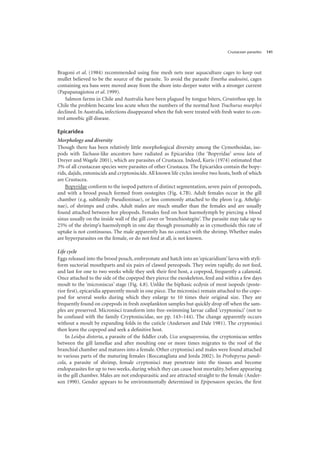 Crustacean parasites 141
Bragoni et al. (1984) recommended using fine mesh nets near aquaculture cages to keep out
mullet believed to be the source of the parasite. To avoid the parasite Emetha audouini, cages
containing sea bass were moved away from the shore into deeper water with a stronger current
(Papapanagiotou et al. 1999).
Salmon farms in Chile and Australia have been plagued by tongue biters, Ceratothoa spp. In
Chile the problem became less acute when the numbers of the normal host Trachurus murphyi
declined. In Australia, infections disappeared when the fish were treated with fresh water to con-
trol amoebic gill disease.
Epicaridea
Morphology and diversity
Though there has been relatively little morphological diversity among the Cymothoidae, iso-
pods with Tachaea-like ancestors have radiated as Epicaridea (the ‘Bopyridae’ sensu latu of
Dreyer and Wagele 2001), which are parasites of Crustacea. Indeed, Kuris (1974) estimated that
3% of all crustacean species were parasites of other Crustacea. The Epicaridea contain the bopy-
rids, dajids, entoniscids and cryptoniscids. All known life cycles involve two hosts, both of which
are Crustacea.
Bopyridae conform to the isopod pattern of distinct segmentation, seven pairs of pereopods,
and with a brood pouch formed from oostegites (Fig. 4.7B). Adult females occur in the gill
chamber (e.g. subfamily Pseudioninae), or less commonly attached to the pleon (e.g. Athelgi-
nae), of shrimps and crabs. Adult males are much smaller than the females and are usually
found attached between her pleopods. Females feed on host haemolymph by piercing a blood
sinus usually on the inside wall of the gill cover or ‘branchiostegite’. The parasite may take up to
25% of the shrimp’s haemolymph in one day though presumably as in cymothoids this rate of
uptake is not continuous. The male apparently has no contact with the shrimp. Whether males
are hyperparasites on the female, or do not feed at all, is not known.
Life cycle
Eggs released into the brood pouch, embryonate and hatch into an‘epicaridium’ larva with styli-
form suctorial mouthparts and six pairs of clawed pereopods. They swim rapidly, do not feed,
and last for one to two weeks while they seek their first host, a copepod, frequently a calanoid.
Once attached to the side of the copepod they pierce the exoskeleton, feed and within a few days
moult to the ‘microniscus’ stage (Fig. 4.8). Unlike the biphasic ecdysis of most isopods (poste-
rior first), epicaridia apparently moult in one piece. The micronisci remain attached to the cope-
pod for several weeks during which they enlarge to 10 times their original size. They are
frequently found on copepods in fresh zooplankton samples but quickly drop off when the sam-
ples are preserved. Micronisci transform into free-swimming larvae called ‘cryptonisci’ (not to
be confused with the family Cryptoniscidae, see pp. 143–144). The change apparently occurs
without a moult by expanding folds in the cuticle (Anderson and Dale 1981). The cryptonisci
then leave the copepod and seek a definitive host.
In Leidya distorta, a parasite of the fiddler crab, Uca uraguayensisa, the cryptoniscus settles
between the gill lamellae and after moulting one or more times migrates to the roof of the
branchial chamber and matures into a female. Other cryptonisci and males were found attached
to various parts of the maturing females (Roccatagliata and Jorda 2002). In Probopyrus pandi-
cola, a parasite of shrimp, female cryptonisci may penetrate into the tissues and become
endoparasites for up to two weeks, during which they can cause host mortality, before appearing
in the gill chamber. Males are not endoparasitic and are attracted straight to the female (Ander-
son 1990). Gender appears to be environmentally determined in Epipenaeon species, the first
 