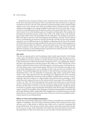 Marine Parasitology
146
Branchiurans have nine pairs of limbs in total. Anteriorly on the ventral surface of the head
lie the short antennules and antennae. Both are provided with claws and function as organs of
attachment to the host. The claw of the antennule is located proximally and the cylindrical distal
segments carry arrays of short setae which are probably sensory. Branchiurans have a tubular
sucking mouth equipped with rasping mandibles located at the tip of the mouth tube. In Argu-
lus there is a retractable poison stylet located just in front of the mouth tube (Fig. 4.10A, C). This
stylet is absent in two of the freshwater genera, Chonopeltis and Dipteropeltis. The maxillules are
developed into powerful muscular suckers (Fig. 4.10B) in the adults except in the freshwater
genus Dolops, which retains clawed maxillules into the adult phase. The maxillae are uniramous
limbs with spinous processes on the basal segments and small claws at the tip. The four pairs of
thoracic swimming legs are biramous and directed laterally. Dorsally, the first and second legs
commonly carry an additional process, the flagellum, originating near the base of the exopod.
The third and fourth legs are usually modified in the male and are used for transferring sperm to
the female during mating. The abdomen contains the paired testes in the male and the paired
seminal receptacles, where sperm are stored until needed to fertilise eggs, in the female. The
abdomen terminates in paired abdominal lobes separated by the median anal cleft, in which lies
the anus and the minute, paired caudal rami.
Life cycles
The sexes are separate and in most branchiurans males transfer sperm directly to the females
using a variety of modified structures on the third and fourth thoracic legs. The sperm are elon-
gate and filiform in structure, and they are motile. The fine structure of the sperm has been used
to link the Branchiura with the Pentastomida (Wingstrand 1972), a close phylogenetic relation-
ship that is also supported by molecular sequence data (Abele et al. 1989). Only the life cycle of
Argulus is well known; little is known of the other genera or of marine species. In freshwater spe-
cies, after taking a meal, a mature female Argulus will leave its host and begin to lay eggs in rows
on any hard, submerged surface. Up to 1200 eggs are laid at any one time and cemented to the
substrate. The abandoned eggs hatch after between 12 days and 80 days according to species, but
development time is also very dependent on temperature. Eggs within a string tend to hatch
within a week. These eggs hatch into free-swimming larvae equipped with setose swimming
antennae and mandibles, plus rudiments of the maxillules, maxillae and first two pairs of swim-
ming legs. These larvae function as a dispersal phase and moult into the second stage, in which
strong claws have replaced the setae on the antenna and the setose palp of the mandible is lost
(Gresty et al. 1993). The first larval stage lasts about six days and moults occur at intervals until
maturity. Branchiurans are parasitic from the second larval stage onwards but appear to leave
the host and then find a new host at intervals throughout development. Changes during the
larval phase are gradual, mainly involving the development of the thoracic legs and reproductive
organs, except for the maxillule, which undergoes a profound metamorphosis around the fifth
larval stage (Rushton Mellor and Boxshall 1994) changing from a long limb bearing a powerful
distal claw into a short but powerful circular sucker. This is one of the most remarkable transfor-
mations known for any arthropod limb.
Effects on hosts and ecological importance
Branchiurans are primarily ectoparasites of fishes, but have occasionally been reported from the
tadpoles of amphibians. They live mainly in freshwater habitats, both running and static water,
and may occur at high density in artificial water bodies such as reservoirs, ornamental fish
ponds and fish farms. A few species of Argulus infest estuarine and coastal marine fishes but they
do not occur in oceanic waters. Infestations with Argulus have been reported from marine fish-
farming facilities in Chile and Canada and can cause mortality in farmed salmonid stocks.
 