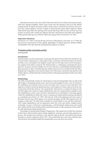 Crustacean parasites 147
Branchiurans attach to the skin of their fish hosts and feed on its blood and external tissues.
They have rasping mandibles, which scrape tissues into the opening at the tip of the tubular
sucking mouth. In Argulus the poison stylet is used to inject a secretion into the host. The secre-
tion may contain digestive enzymes to begin to break up host tissues before ingestion. Paired
labial stylets lying within the opening of the mouth tube (Fig 4.10D) are also secretory and may
produce secretion with a similar pre-digestive function. Host blood is also taken and is digested
within paired, lobate gut caeca that lie within the carapace lobes (Overstreet et al. 1992).
Important references
Overstreet et al. (1992) reviewed the fine structure of Branchiura, and Gresty et al. (1993) the
fine structure and function of the cephalic appendages of Argulus japonicus. Rushton-Mellor
and Boxshall (1994) described the developmental sequence of Argulus.
Tantulocarida (tantulocarids)
Geoff Boxshall
Introduction
Tantulocaridans are tiny ectoparasitic crustaceans that spend most of their lives attached to the
external surface of their hosts, a wide range of other crustaceans. All tantulocaridans are marine
and they occur at all depths, from shallow coastal waters to the deep ocean, and in all tempera-
ture regimes from polar to tropical. The Tantulocarida is a small group comprising 28 species
placed in 20 genera and four families, but its true diversity is undoubtedly underestimated as
these parasites are often overlooked because of their minute size. It is classified in the class Max-
illopoda and is regarded as most closely related to the Thecostraca (barnacles and relatives) with
which it shares a similar body plan and the positions of the genital openings in both sexes (Huys
et al. 1993).
Morphology
The adult asexual female consists of a minute head, a neck of varying length, and a sac-like trunk
full of eggs or developing tantulus larvae, and it may attain lengths of up to 2 mm. It attaches to
the exoskeleton of its host by means of a tiny oral sucker, only 12 µm to 15 µm in diameter. This
stage has no limbs at all and no genital apertures, and it appears to release mature larvae by rup-
turing of the wall of the trunk sac. The sexual female, where known, is smaller, less than 0.5 mm
in body length, and consists of a large cephalothorax and a five-segmented post-cephalic trunk.
The cephalothorax carries a pair of sensory antennules but no mouthparts. A few large eggs lie
within the cephalothorax which also carries a conspicuous median genital opening, interpreted
as a copulatory pore (Huys et al. 1993). The first two of the trunk segments each carry a pair of
biramous thoracic legs, which appear to be used for grasping, and the fifth segment bears the
elongate caudal rami. The adult male resembles the sexual female in size and basic body plan,
with a large cephalothorax and six-segmented trunk, but it has more limbs: vestigial sensory
antennules, six pairs of biramous swimming legs, a well-developed median penis and caudal
rami. Adults of both sexes develop within posteriorly located, sac-like expansions of the trunk of
the still-attached preceding tantulus larva.
Knowledge of tantulocaridan biology is fragmentary. They spend most of their lives attached
to their hosts, which include isopod, tanaid, amphipod, cumacean, ostracod and copepod crus-
taceans. The tantulus larva functions as the infective stage in the life cycle and has been found
living free in marine sediments (Huys 1991). The sexual adults have never been collected away
from the host, but probably inhabit the hyperbenthic zone, just above the sea bed.
 