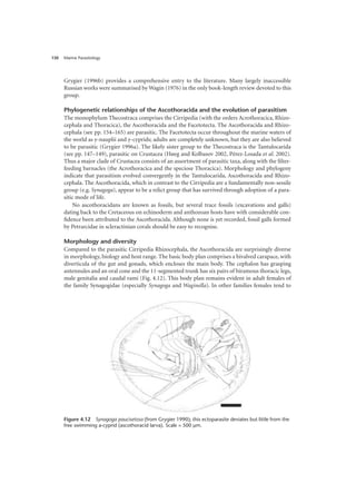 Marine Parasitology
150
Grygier (1996b) provides a comprehensive entry to the literature. Many largely inaccessible
Russian works were summarised by Wagin (1976) in the only book-length review devoted to this
group.
Phylogenetic relationships of the Ascothoracida and the evolution of parasitism
The monophylum Thecostraca comprises the Cirripedia (with the orders Acrothoracica, Rhizo-
cephala and Thoracica), the Ascothoracida and the Facetotecta. The Ascothoracida and Rhizo-
cephala (see pp. 154–165) are parasitic. The Facetotecta occur throughout the marine waters of
the world as y-nauplii and y-cyprids; adults are completely unknown, but they are also believed
to be parasitic (Grygier 1996a). The likely sister group to the Thecostraca is the Tantulocarida
(see pp. 147–149), parasitic on Crustacea (Høeg and Kolbasov 2002, Pérez-Losada et al. 2002).
Thus a major clade of Crustacea consists of an assortment of parasitic taxa, along with the filter-
feeding barnacles (the Acrothoracica and the speciose Thoracica). Morphology and phylogeny
indicate that parasitism evolved convergently in the Tantulocarida, Ascothoracida and Rhizo-
cephala. The Ascothoracida, which in contrast to the Cirripedia are a fundamentally non-sessile
group (e.g. Synagoga), appear to be a relict group that has survived through adoption of a para-
sitic mode of life.
No ascothoracidans are known as fossils, but several trace fossils (excavations and galls)
dating back to the Cretaceous on echinoderm and anthozoan hosts have with considerable con-
fidence been attributed to the Ascothoracida. Although none is yet recorded, fossil galls formed
by Petrarcidae in scleractinian corals should be easy to recognise.
Morphology and diversity
Compared to the parasitic Cirripedia Rhizocephala, the Ascothoracida are surprisingly diverse
in morphology, biology and host range. The basic body plan comprises a bivalved carapace, with
diverticula of the gut and gonads, which encloses the main body. The cephalon has grasping
antennules and an oral cone and the 11-segmented trunk has six pairs of biramous thoracic legs,
male genitalia and caudal rami (Fig. 4.12). This body plan remains evident in adult females of
the family Synagogidae (especially Synagoga and Waginella). In other families females tend to
Figure 4.12 Synagoga paucisetosa (from Grygier 1990); this ectoparasite deviates but little from the
free swimming a-cyprid (ascothoracid larva). Scale = 500 µm.
 