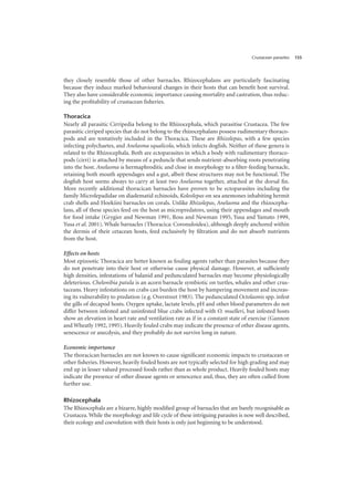 Crustacean parasites 155
they closely resemble those of other barnacles. Rhizocephalans are particularly fascinating
because they induce marked behavioural changes in their hosts that can benefit host survival.
They also have considerable economic importance causing mortality and castration, thus reduc-
ing the profitability of crustacean fisheries.
Thoracica
Nearly all parasitic Cirripedia belong to the Rhizocephala, which parasitise Crustacea. The few
parasitic cirriped species that do not belong to the rhizocephalans possess rudimentary thoraco-
pods and are tentatively included in the Thoracica. These are Rhizolepas, with a few species
infecting polychaetes, and Anelasma squalicola, which infects dogfish. Neither of these genera is
related to the Rhizocephala. Both are ectoparasites in which a body with rudimentary thoraco-
pods (cirri) is attached by means of a peduncle that sends nutrient-absorbing roots penetrating
into the host. Anelasma is hermaphroditic and close in morphology to a filter-feeding barnacle,
retaining both mouth appendages and a gut, albeit these structures may not be functional. The
dogfish host seems always to carry at least two Anelasma together, attached at the dorsal fin.
More recently additional thoracican barnacles have proven to be ectoparasites including the
family Microlepadidae on diadematid echinoids, Koleolepas on sea anemones inhabiting hermit
crab shells and Hoekiini barnacles on corals. Unlike Rhizolepas, Anelasma and the rhizocepha-
lans, all of these species feed on the host as micropredators, using their appendages and mouth
for food intake (Grygier and Newman 1991, Ross and Newman 1995, Yusa and Yamato 1999,
Yusa et al. 2001). Whale barnacles (Thoracica: Coronuloidea), although deeply anchored within
the dermis of their cetacean hosts, feed exclusively by filtration and do not absorb nutrients
from the host.
Effects on hosts
Most epizootic Thoracica are better known as fouling agents rather than parasites because they
do not penetrate into their host or otherwise cause physical damage. However, at sufficiently
high densities, infestations of balanid and pedunculated barnacles may become physiologically
deleterious. Chelonibia patula is an acorn barnacle symbiotic on turtles, whales and other crus-
taceans. Heavy infestations on crabs can burden the host by hampering movement and increas-
ing its vulnerability to predation (e.g. Overstreet 1983). The pedunculated Octolasmis spp. infest
the gills of decapod hosts. Oxygen uptake, lactate levels, pH and other blood parameters do not
differ between infested and uninfested blue crabs infected with O. muelleri, but infested hosts
show an elevation in heart rate and ventilation rate as if in a constant state of exercise (Gannon
and Wheatly 1992, 1995). Heavily fouled crabs may indicate the presence of other disease agents,
senescence or anecdysis, and they probably do not survive long in nature.
Economic importance
The thoracican barnacles are not known to cause significant economic impacts to crustacean or
other fisheries. However, heavily fouled hosts are not typically selected for high grading and may
end up in lesser valued processed foods rather than as whole product. Heavily fouled hosts may
indicate the presence of other disease agents or senescence and, thus, they are often culled from
further use.
Rhizocephala
The Rhizocephala are a bizarre, highly modified group of barnacles that are barely recognisable as
Crustacea. While the morphology and life cycle of these intriguing parasites is now well described,
their ecology and coevolution with their hosts is only just beginning to be understood.
 