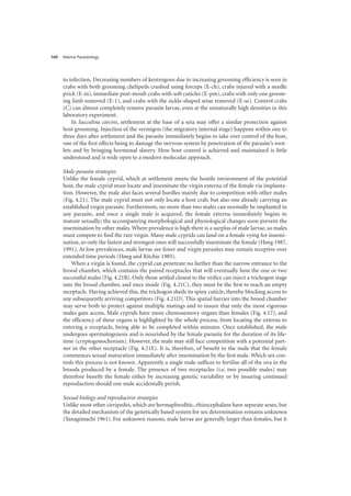 Marine Parasitology
160
to infection. Decreasing numbers of kentrogons due to increasing grooming efficiency is seen in
crabs with both grooming chelipeds crushed using forceps (E-ch), crabs injured with a needle
prick (E-in), immediate post-moult crabs with soft cuticles (E-pm), crabs with only one groom-
ing limb removed (E-1), and crabs with the sickle-shaped setae removed (E-se). Control crabs
(C) can almost completely remove parasite larvae, even at the unnaturally high densities in this
laboratory experiment.
In Sacculina carcini, settlement at the base of a seta may offer a similar protection against
host grooming. Injection of the vermigon (the migratory internal stage) happens within one to
three days after settlement and the parasite immediately begins to take over control of the host,
one of the first effects being to damage the nervous system by penetration of the parasite’s root-
lets and by bringing hormonal slavery. How host control is achieved and maintained is little
understood and is wide open to a modern molecular approach.
Male parasite strategies
Unlike the female cyprid, which at settlement meets the hostile environment of the potential
host, the male cyprid must locate and inseminate the virgin externa of the female via implanta-
tion. However, the male also faces several hurdles mainly due to competition with other males
(Fig. 4.21). The male cyprid must not only locate a host crab, but also one already carrying an
established virgin parasite. Furthermore, no more than two males can normally be implanted in
any parasite, and once a single male is acquired, the female externa immediately begins to
mature sexually; the accompanying morphological and physiological changes soon prevent the
insemination by other males. Where prevalence is high there is a surplus of male larvae, so males
must compete to find the rare virgin. Many male cyprids can land on a female vying for insemi-
nation, so only the fastest and strongest ones will successfully inseminate the female (Høeg 1987,
1991). At low prevalences, male larvae are fewer and virgin parasites may remain receptive over
extended time periods (Høeg and Ritchie 1985).
When a virgin is found, the cyprid can penetrate no farther than the narrow entrance to the
brood chamber, which contains the paired receptacles that will eventually host the one or two
successful males (Fig. 4.21B). Only those settled closest to the orifice can inject a trichogon stage
into the brood chamber, and once inside (Fig. 4.21C), they must be the first to reach an empty
receptacle. Having achieved this, the trichogon sheds its spiny cuticle, thereby blocking access to
any subsequently arriving competitors (Fig. 4.21D). This spatial barrier into the brood chamber
may serve both to protect against multiple matings and to insure that only the most vigorous
males gain access. Male cyprids have more chemosensory organs than females (Fig. 4.17), and
the efficiency of these organs is highlighted by the whole process, from locating the externa to
entering a receptacle, being able to be completed within minutes. Once established, the male
undergoes spermatogenesis and is nourished by the female parasite for the duration of its life-
time (cryptogonochorism). However, the male may still face competition with a potential part-
ner in the other receptacle (Fig. 4.21E). It is, therefore, of benefit to the male that the female
commences sexual maturation immediately after insemination by the first male. Which sex con-
trols this process is not known. Apparently a single male suffices to fertilise all of the ova in the
broods produced by a female. The presence of two receptacles (i.e. two possible males) may
therefore benefit the female either by increasing genetic variability or by insuring continued
reproduction should one male accidentally perish.
Sexual biology and reproductive strategies
Unlike most other cirripedes, which are hermaphroditic, rhizocephalans have separate sexes, but
the detailed mechanism of the genetically based system for sex determination remains unknown
(Yanagimachi 1961). For unknown reasons, male larvae are generally larger than females, but it
 