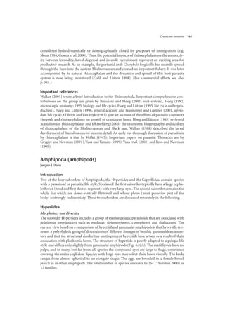 Crustacean parasites 165
considered hydrodynamically or demographically closed for purposes of immigration (e.g.
Sloan 1984, Cowen et al. 2000). Thus, the potential impacts of rhizocephalans on the connectiv-
ity between fecundity, larval dispersal and juvenile recruitment represent an exciting area for
productive research. As an example, the portunid crab Charybdis longicollis has recently spread
through the Suez into the eastern Mediterranean and created an important fishery. It was later
accompanied by its natural rhizocephalan and the dynamics and spread of this host-parasite
system is now being monitored (Galil and Lützen 1998). (For commercial effects see also
p. 364.)
Important references
Walker (2001) wrote a brief Introduction to the Rhizocephala. Important comprehensive con-
tributions on the group are given by Bresciani and Høeg (2001, root system), Høeg (1992,
microscopic anatomy; 1995, biology and life cycle), Høeg and Lützen (1995, life cycle and repro-
duction), Høeg and Lützen (1996, general account and taxonomy) and Glenner (2001, up-to-
date life cycle). O’Brien and Van Wyk (1985) gave an account of the effects of parasitic castrators
(isopods and rhizocephalans) on growth of crustacean hosts. Høeg and Lützen (1985) reviewed
Scandinavian rhizocephalans and Øksnebjerg (2000) the taxonomy, biogeography and ecology
of rhizocephalans of the Mediterranean and Black seas. Walker (1988) described the larval
development of Sacculina carcini in some detail. An early but thorough discussion of parasitism
by rhizocephalans is that by Veillet (1945). Important papers on parasitic Thoracica are by
Grygier and Newman (1991), Yusa and Yamato (1999), Yusa et al. (2001) and Ross and Newman
(1995).
Amphipoda (amphipods)
Jørgen Lützen
Introduction
Two of the four suborders of Amphipoda, the Hyperiidea and the Caprellidea, contain species
with a parasitoid or parasitic life style. Species of the first suborder typically have a large cepha-
lothorax (head and first thorax segment) with very large eyes. The second suborder contains the
whale lice which are dorso-ventrally flattened and whose pleon (most posterior part of the
body) is strongly rudimentary. These two suborders are discussed separately in the following.
Hyperiidea
Morphology and diversity
The suborder Hyperiidea includes a group of marine pelagic parasitoids that are associated with
gelatinous zooplankters such as medusae, siphonophores, ctenophores and thaliaceans. The
current view based on a comparison of hyperiid and gammarid amphipods is that hyperiids rep-
resent a polyphyletic group of descendents of different lineages of benthic gammaridean ances-
tors and that the structural similarities uniting recent hyperiids have arisen as a result of their
association with planktonic hosts. The structure of hyperiids is poorly adapted to a pelagic life
style and differs only slightly from gammarid amphipods (Fig. 4.22A). The maxillipeds have no
palps, and in many, but far from all, species the compound eyes are large to huge, sometimes
covering the entire cephalon. Species with large eyes may select their hosts visually. The body
ranges from almost spherical to an elongate shape. The eggs are brooded in a female brood
pouch as in other amphipods. The total number of species amounts to 254 (Thurston 2000) in
22 families.
 