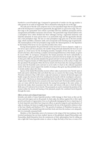 Crustacean parasites 167
hundred to several hundred eggs. Compared to gammarids of similar size the egg number is
often greater by an order of magnitude. This is attained by reducing the size of the eggs.
The early part of the life cycle comprises one or a few specialised stages that are passed while
still in the brood pouch. Compared to gammarids, the eggs hatch at a precocious stage. The ear-
liest stage is the ‘pantochelis’ larva which is provided with four cheliform pereopods and has
unsegmented and limbless metasome and urosome. The pantochelis stage metamorphoses into
a ‘protopleon’ larva (often divided into three substages) having a segmented metasome and
imperfect pleopods. In many species there is no pantochelis stage and the egg hatches directly
into a first protopleon stage. The last (or only) protopleon stage gives rise to the first juvenile
stage, which resembles a miniature adult, and corresponds to the hatching stage of gammarids.
The metamorphosis of the last protopleon stage marks the ‘demarsupiation’, or the deposition
by the female of the larvae (in rare cases the juveniles) into a host.
During demarsupiation the gravid female swims from host to host to deposit a single or a
few larvae upon each host specimen, the number being obviously limited by the host size and
capacity as a food source for the developing juveniles. Examples of how the larvae are trans-
ferred to the host, often involving a complex and stereotyped behaviour of the female, are given
by Laval (1980). In Lestrigonus schizogeneios the female penetrates the host’s subumbrella (a
hydromedusa), splits a gonad with its mouth parts and inserts the larvae deeply into the organ.
As they grow older, the juveniles abandon the gonad and start to feed upon the prey trapped by
the host. Ovigerous females of Vibilia deposit the pantochelis larvae on the surface of salps with
the specialised 7th pereopods. When the larvae moult a few hours later, the ensuing protopleon
larvae enter the branchial cavity and start to eat its wall or to feed on the collected suspended
matter. If the host cannot support the number of young as they grow up, they probably leave it
to invade another salp in the chain.
Species of the family Phronimidae excavate solitary salps or pyrosomes into ‘barrels’ open at
both ends and in which they hide and which they use as a nursery for their young. The female
Phronima sedentaria (Fig. 4.22B) enters a salp and consumes or removes all internal organs and
finally scrapes the internal wall of the resulting barrel smooth with the mouthparts and pereo-
pods 1 and 2. The larvae are demarsupiated into the barrel where they soon bunch together into
a tight cluster which slowly moves around on the inner barrel wall. The female exhibits maternal
care, as it stays with the barrel and prevents the young from passing to the outer surface. At
intervals she makes short excursions into the water and returns with prey to feed the brood.
Both sexes of P. sedentaria live in barrels. The pereopods are used to maintain the position of the
animal within the barrel and beating of the pleopods propels the combined barrel–hyperiid
through the water.
Effects on hosts and ecological importance
Juveniles and adults of many hyperiids produce visible damage to their hosts as they eat the
tissue and vital organs such as the gonads. In chain salps, the defence against this is their rapid
growth and faculty of regeneration. Even so, by physically damaging the host or depriving it of
its food, hyperiids most likely have long-term effects on growth, longevity and reproduction of
salps. In medusae, the harm is roughly proportional to the size of the hyperiid in relation to that
of the host (Madin and Harbison 1977). The growth of medusae of Phialidium becomes seri-
ously impeded as the subadult hyperiids steal their food, and when the medusa is not adequately
fed, it is eventually consumed itself.
Members of the Hyperiidae seem to be immune to the stings of the host medusae, but the
involved mechanism has not been studied. Species of the globularly shaped Platyscelidae and
Parascelidae shield themselves from the nematocysts of their siphonophore host by rolling up
into a tight ball. Some hyperiids mimic in colour or shape the body of the host, or some of its
 