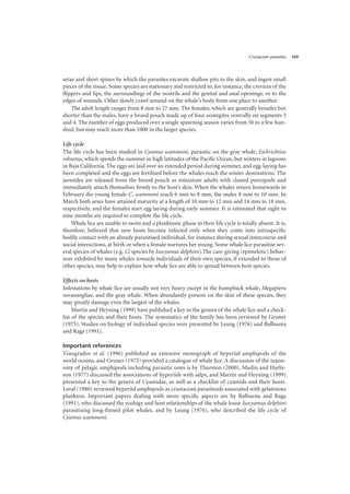 Crustacean parasites 169
setae and short spines by which the parasites excavate shallow pits in the skin, and ingest small
pieces of the tissue. Some species are stationary and restricted to, for instance, the crevices of the
flippers and lips, the surroundings of the nostrils and the genital and anal openings, or to the
edges of wounds. Other slowly crawl around on the whale's body from one place to another.
The adult length ranges from 8 mm to 27 mm. The females, which are generally broader but
shorter than the males, have a brood pouch made up of four oostegites ventrally on segments 3
and 4. The number of eggs produced over a single spawning season varies from 50 to a few hun-
dred, but may reach more than 1000 in the larger species.
Life cycle
The life cycle has been studied in Cyamus scammoni, parasitic on the gray whale, Eschrichtius
robustus, which spends the summer in high latitudes of the Pacific Ocean, but winters in lagoons
in Baja California. The eggs are laid over an extended period during summer, and egg-laying has
been completed and the eggs are fertilised before the whales reach the winter destinations. The
juveniles are released from the brood pouch as miniature adults with clawed pereopods and
immediately attach themselves firmly to the host’s skin. When the whales return homewards in
February the young female C. scammoni reach 6 mm to 8 mm, the males 8 mm to 10 mm. In
March both sexes have attained maturity at a length of 10 mm to 12 mm and 14 mm to 18 mm,
respectively, and the females start egg laying during early summer. It is estimated that eight to
nine months are required to complete the life cycle.
Whale lice are unable to swim and a planktonic phase in their life cycle is totally absent. It is,
therefore, believed that new hosts become infected only when they come into intraspecific
bodily contact with an already parasitised individual, for instance during sexual intercourse and
social interactions, at birth or when a female nurtures her young. Some whale lice parasitise sev-
eral species of whales (e.g. 12 species by Isocyamus delphini).The care-giving (epimeletic) behav-
iour exhibited by many whales towards individuals of their own species, if extended to those of
other species, may help to explain how whale lice are able to spread between host species.
Effects on hosts
Infestations by whale lice are usually not very heavy except in the humpback whale, Megaptera
novaeangliae, and the gray whale. When abundantly present on the skin of these species, they
may greatly damage even the largest of the whales.
Martin and Heyning (1999) have published a key to the genera of the whale lice and a check-
list of the species and their hosts. The systematics of the family has been reviewed by Gruner
(1975). Studies on biology of individual species were presented by Leung (1976) and Balbuena
and Raga (1991).
Important references
Vinogradov et al. (1996) published an extensive monograph of hyperiid amphipods of the
world oceans, and Gruner (1975) provided a catalogue of whale lice. A discussion of the taxon-
omy of pelagic amphipods including parasitic ones is by Thurston (2000). Madin and Harbi-
son (1977) discussed the associations of hyperiids with salps, and Martin and Heyning (1999)
presented a key to the genera of Cyamidae, as well as a checklist of cyamids and their hosts.
Laval (1980) reviewed hyperiid amphipods as crustacean parasitoids associated with gelatinous
plankton. Important papers dealing with more specific aspects are by Balbuena and Raga
(1991), who discussed the ecology and host relationships of the whale louse Isocyamus delphini
parasitising long-finned pilot whales, and by Leung (1976), who described the life cycle of
Cyamus scammoni.
 