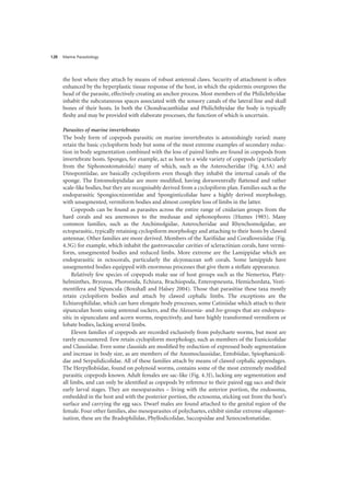 Marine Parasitology
128
the host where they attach by means of robust antennal claws. Security of attachment is often
enhanced by the hyperplastic tissue response of the host, in which the epidermis overgrows the
head of the parasite, effectively creating an anchor process. Most members of the Philichthyidae
inhabit the subcutaneous spaces associated with the sensory canals of the lateral line and skull
bones of their hosts. In both the Chondracanthidae and Philichthyidae the body is typically
fleshy and may be provided with elaborate processes, the function of which is uncertain.
Parasites of marine invertebrates
The body form of copepods parasitic on marine invertebrates is astonishingly varied: many
retain the basic cyclopiform body but some of the most extreme examples of secondary reduc-
tion in body segmentation combined with the loss of paired limbs are found in copepods from
invertebrate hosts. Sponges, for example, act as host to a wide variety of copepods (particularly
from the Siphonostomatoida) many of which, such as the Asterocheridae (Fig. 4.3A) and
Dinopontiidae, are basically cyclopiform even though they inhabit the internal canals of the
sponge. The Entomolepididae are more modified, having dorsoventrally flattened and rather
scale-like bodies, but they are recognisably derived from a cyclopiform plan. Families such as the
endoparasitic Spongiocnizontidae and Sponginticolidae have a highly derived morphology,
with unsegmented, vermiform bodies and almost complete loss of limbs in the latter.
Copepods can be found as parasites across the entire range of cnidarian groups from the
hard corals and sea anemones to the medusae and siphonophores (Humes 1985). Many
common families, such as the Anchimolgidae, Asterocheridae and Rhynchomolgidae, are
ectoparasitic, typically retaining cyclopiform morphology and attaching to their hosts by clawed
antennae. Other families are more derived. Members of the Xarifiidae and Corallovexiidae (Fig.
4.3G) for example, which inhabit the gastrovascular cavities of scleractinian corals, have vermi-
form, unsegmented bodies and reduced limbs. More extreme are the Lamippidae which are
endoparasitic in octocorals, particularly the alcyonacean soft corals. Some lamippids have
unsegmented bodies equipped with enormous processes that give them a stellate appearance.
Relatively few species of copepods make use of host groups such as the Nemertea, Platy-
helminthes, Bryozoa, Phoronida, Echiura, Brachiopoda, Enteropneusta, Hemichordata, Vesti-
mentifera and Sipuncula (Boxshall and Halsey 2004). Those that parasitise these taxa mostly
retain cyclopiform bodies and attach by clawed cephalic limbs. The exceptions are the
Echiurophilidae, which can have elongate body processes, some Catiniidae which attach to their
sipunculan hosts using antennal suckers, and the Akessonia- and Ive-groups that are endopara-
sitic in sipunculans and acorn worms, respectively, and have highly transformed vermiform or
lobate bodies, lacking several limbs.
Eleven families of copepods are recorded exclusively from polychaete worms, but most are
rarely encountered. Few retain cyclopiform morphology, such as members of the Eunicicolidae
and Clausiidae. Even some clausiids are modified by reduction of expressed body segmentation
and increase in body size, as are members of the Anomoclausiidae, Entobiidae, Spiophanicoli-
dae and Serpulidicolidae. All of these families attach by means of clawed cephalic appendages.
The Herpyllobiidae, found on polynoid worms, contains some of the most extremely modified
parasitic copepods known. Adult females are sac-like (Fig. 4.3J), lacking any segmentation and
all limbs, and can only be identified as copepods by reference to their paired egg sacs and their
early larval stages. They are mesoparasites – living with the anterior portion, the endosoma,
embedded in the host and with the posterior portion, the ectosoma, sticking out from the host’s
surface and carrying the egg sacs. Dwarf males are found attached to the genital region of the
female. Four other families, also mesoparasites of polychaetes, exhibit similar extreme oligomer-
isation, these are the Bradophilidae, Phyllodicolidae, Saccopsidae and Xenocoelomatidae.
 
