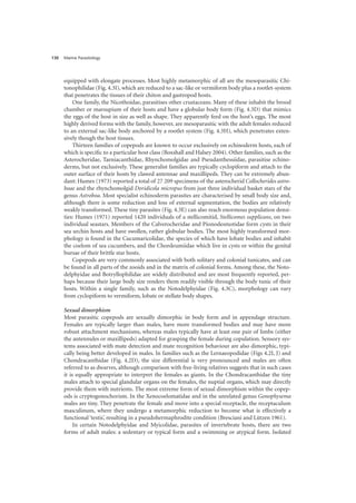 Marine Parasitology
130
equipped with elongate processes. Most highly metamorphic of all are the mesoparasitic Chi-
tonophilidae (Fig. 4.3I), which are reduced to a sac-like or vermiform body plus a rootlet-system
that penetrates the tissues of their chiton and gastropod hosts.
One family, the Nicothoidae, parasitises other crustaceans. Many of these inhabit the brood
chamber or marsupium of their hosts and have a globular body form (Fig. 4.3D) that mimics
the eggs of the host in size as well as shape. They apparently feed on the host’s eggs. The most
highly derived forms with the family, however, are mesoparasitic with the adult females reduced
to an external sac-like body anchored by a rootlet system (Fig. 4.3H), which penetrates exten-
sively though the host tissues.
Thirteen families of copepods are known to occur exclusively on echinoderm hosts, each of
which is specific to a particular host class (Boxshall and Halsey 2004). Other families, such as the
Asterocheridae, Taeniacanthidae, Rhynchomolgidae and Pseudanthessiidae, parasitise echino-
derms, but not exclusively. These generalist families are typically cyclopiform and attach to the
outer surface of their hosts by clawed antennae and maxillipeds. They can be extremely abun-
dant: Humes (1973) reported a total of 27 209 specimens of the asterocherid Collocherides astro-
boae and the rhynchomolgid Doridicola micropus from just three individual basket stars of the
genus Astroboa. Most specialist echinoderm parasites are characterised by small body size and,
although there is some reduction and loss of external segmentation, the bodies are relatively
weakly transformed. These tiny parasites (Fig. 4.3E) can also reach enormous population densi-
ties: Humes (1971) reported 1420 individuals of a stellicomitid, Stellicomes supplicans, on two
individual seastars. Members of the Calverocheridae and Pionodesmotidae form cysts in their
sea urchin hosts and have swollen, rather globular bodies. The most highly transformed mor-
phology is found in the Cucumaricolidae, the species of which have lobate bodies and inhabit
the coelom of sea cucumbers, and the Chordeumiidae which live in cysts or within the genital
bursae of their brittle star hosts.
Copepods are very commonly associated with both solitary and colonial tunicates, and can
be found in all parts of the zooids and in the matrix of colonial forms. Among these, the Noto-
delphyidae and Botryllophilidae are widely distributed and are most frequently reported, per-
haps because their large body size renders them readily visible through the body tunic of their
hosts. Within a single family, such as the Notodelphyidae (Fig. 4.3C), morphology can vary
from cyclopiform to vermiform, lobate or stellate body shapes.
Sexual dimorphism
Most parasitic copepods are sexually dimorphic in body form and in appendage structure.
Females are typically larger than males, have more transformed bodies and may have more
robust attachment mechanisms, whereas males typically have at least one pair of limbs (either
the antennules or maxillipeds) adapted for grasping the female during copulation. Sensory sys-
tems associated with mate detection and mate recognition behaviour are also dimorphic, typi-
cally being better developed in males. In families such as the Lernaeopodidae (Figs 4.2I, J) and
Chondracanthidae (Fig. 4.2D), the size differential is very pronounced and males are often
referred to as dwarves, although comparison with free-living relatives suggests that in such cases
it is equally appropriate to interpret the females as giants. In the Chondracanthidae the tiny
males attach to special glandular organs on the females, the nuptial organs, which may directly
provide them with nutrients. The most extreme form of sexual dimorphism within the copep-
ods is cryptogonochorism. In the Xenocoelomatidae and in the unrelated genus Gonophysema
males are tiny. They penetrate the female and move into a special receptacle, the receptaculum
masculinum, where they undergo a metamorphic reduction to become what is effectively a
functional ‘testis’, resulting in a pseudohermaphrodite condition (Bresciani and Lützen 1961).
In certain Notodelphyidae and Myicolidae, parasites of invertebrate hosts, there are two
forms of adult males: a sedentary or typical form and a swimming or atypical form. Isolated
 