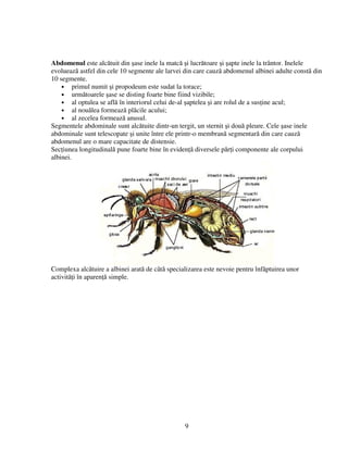 CRESTEREA ALBINELOR.pdf