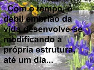 Com o tempo, o
débil embrião da
vida desenvolve-se
modificando a
própria estrutura,
até um dia...
 