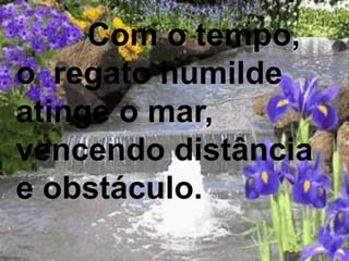 Com o tempo,
o regato humilde
atinge o mar,
vencendo distância
e obstáculo.
 