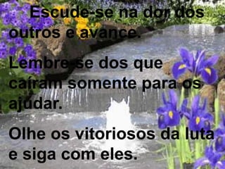 Escude-se na dor dos
outros e avance.
Lembre-se dos que
caíram somente para os
ajudar.
Olhe os vitoriosos da luta
e siga com eles.
 