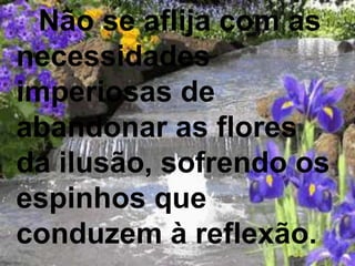 Não se aflija com as
necessidades
imperiosas de
abandonar as flores
da ilusão, sofrendo os
espinhos que
conduzem à reflexão.
 