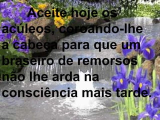 Aceite hoje os
acúleos, coroando-lhe
a cabeça para que um
braseiro de remorsos
não lhe arda na
consciência mais tarde.
 