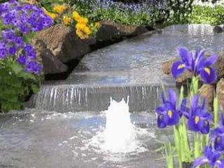 Crestomancia da imortalidade sheila